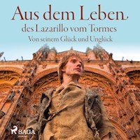Aus dem Leben des Lazarillo vom Tormes - Von seinem Glück und Unglück (Ungekürzt) - Lazarillo De Tormes - Hörbuch