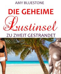 Die geheime Lustinsel - Amy Bluestone - E-Book