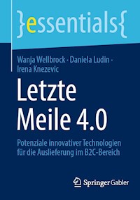 Letzte Meile 4.0 - Wanja Wellbrock - E-Book