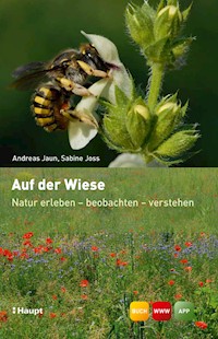 Auf der Wiese - Andreas Jaun - E-Book