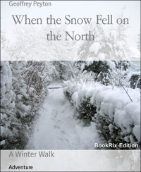 When the Snow Fell on the North - Geoffrey Peyton - kostenlos E-Book