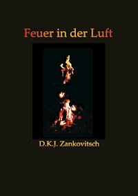 Feuer in der Luft - D.K.J. Zankovitsch - E-Book