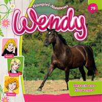 Wendy, Folge 79: Besuch aus Norwegen - Stephan Gürtler - Hörbuch