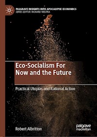 Eco-Socialism For Now and the Future - Robert Albritton - E-Book