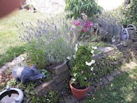 Die Blume /Die Zitrone - Kolja Kappel - E-Book