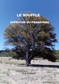 Le souffle - Guy Forget - E-Book