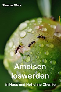 Ameisen loswerden - Thomas Werk - E-Book