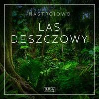 Nastrojowo - Las Deszczowy - Rasmus Broe - Hörbuch