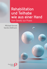 Rehabilitation und Teilhabe wie aus einer Hand - Sandra Dellmann - E-Book