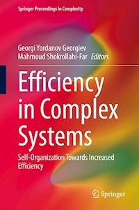 Efficiency in Complex Systems -  - E-Book