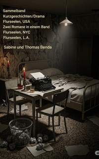 Sammelband Kurzgeschichten/Drama Flurseelen, USA - Zwei Romane in einem Band - Sabine Benda - E-Book