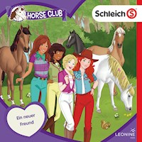 Folge 17: Ein neuer Freund - Antje Seibel - Hörbuch