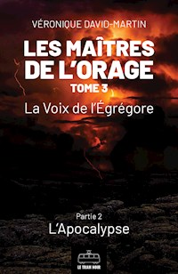 Les Maîtres de l'orage - Tome 3 : Partie 2 - Véronique David-Martin - E-Book