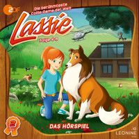 Folgen 4-6: Der Berglöwe - Irene Timm - Hörbuch