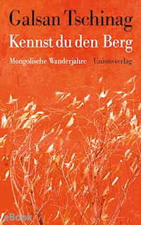 Kennst du den Berg - Galsan Tschinag - E-Book
