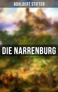 Die Narrenburg - Adalbert Stifter - E-Book
