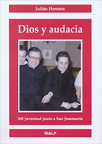 Dios y audacia - Julián Herránz Casado  - E-Book