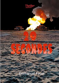 29 secondes - Emmanuel Fouet - E-Book