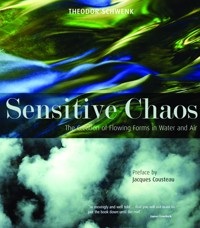 Sensitive Chaos - Theodor Schwenk - E-Book