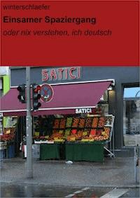 Einsamer Spaziergang - null winterschlaefer - E-Book