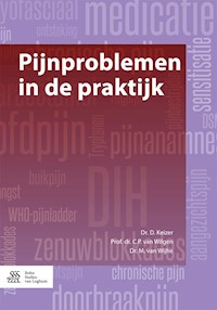 Pijnproblemen in de praktijk - D. Keizer - E-Book