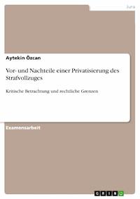 Vor- und Nachteile einer Privatisierung des Strafvollzuges - Aytekin Özcan - E-Book