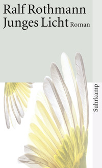Junges Licht - Ralf Rothmann - E-Book