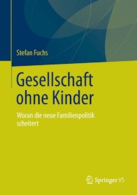 Gesellschaft ohne Kinder - Stefan Fuchs - E-Book