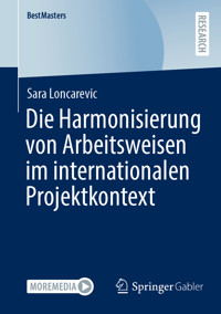 Die Harmonisierung von Arbeitsweisen im internationalen Projektkontext - Sara Loncarevic - E-Book