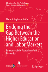 Bridging the Gap Between the Higher Education and Labor Markets -  - E-Book