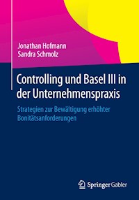 Controlling und Basel III in der Unternehmenspraxis - Jonathan Hofmann - E-Book