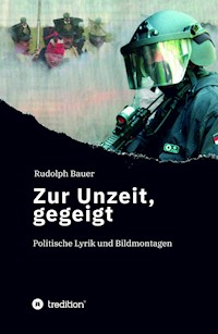 Zur Unzeit, gegeigt - Rudolph Bauer - E-Book