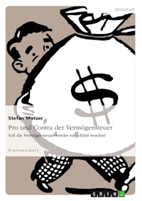 Pro und Contra der Vermögensteuer - Stefan Motzer - E-Book