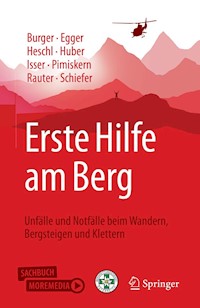 Erste Hilfe am Berg - Josef Burger - E-Book