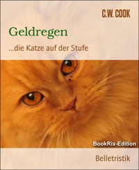 Geldregen - C.W. COOK - E-Book