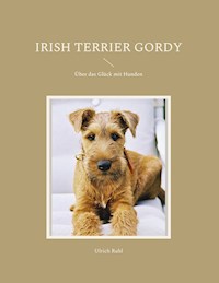 Irish Terrier Gordy - Ulrich Ruhl - E-Book