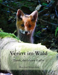 Verirrt im Wald - Hans- Josef Hungenberg - E-Book