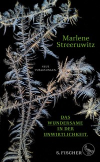 Das Wundersame in der Unwirtlichkeit. - Marlene Streeruwitz - E-Book