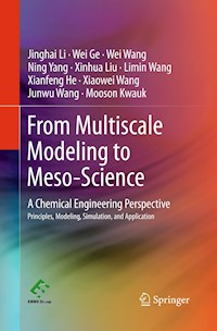 From Multiscale Modeling to Meso-Science - Jinghai Li - E-Book