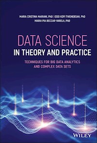 Data Science in Theory and Practice - Maria Cristina Mariani - E-Book