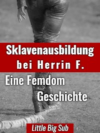 Sklavenausbildung bei Herrin F. - Little Big Sub - E-Book