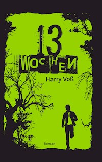 13 Wochen - Harry Voß - E-Book