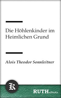 Die Höhlenkinder im Heimlichen Grund - Alois Theodor Sonnleitner - E-Book