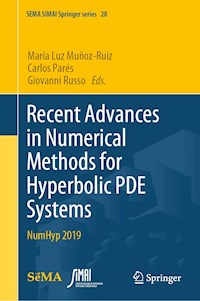 Recent Advances in Numerical Methods for Hyperbolic PDE Systems -  - E-Book
