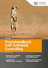 Praxishandbuch SAP S/4HANA Controlling - Nora Voigt - E-Book