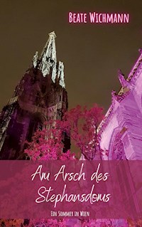 Am Arsch des Stephansdoms - Beate Wichmann - E-Book