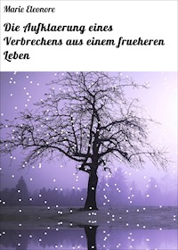 Die Aufklaerung eines Verbrechens aus einem frueheren Leben - Marie Eleonore - E-Book