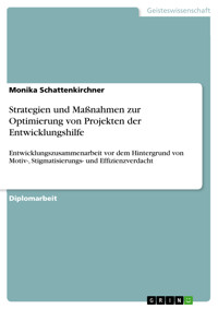 Strategien und Maßnahmen zur Optimierung von Projekten der Entwicklungshilfe - Monika Schattenkirchner - E-Book
