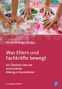 Was Eltern und Fachkräfte bewegt - Christoph Bemsch - E-Book