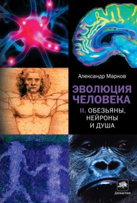 Эволюция человека. Кн. 2. Обезьяны, нейроны и душа - Александр Марков - E-Book